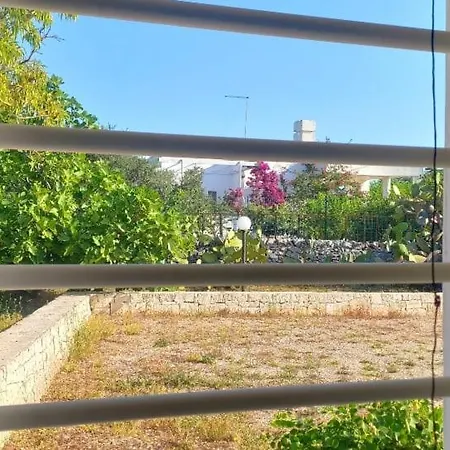 Fiore Di Cappero